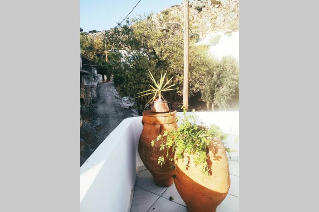 Holiday home Traditional House Utopia Makri Gialos Pevkoi